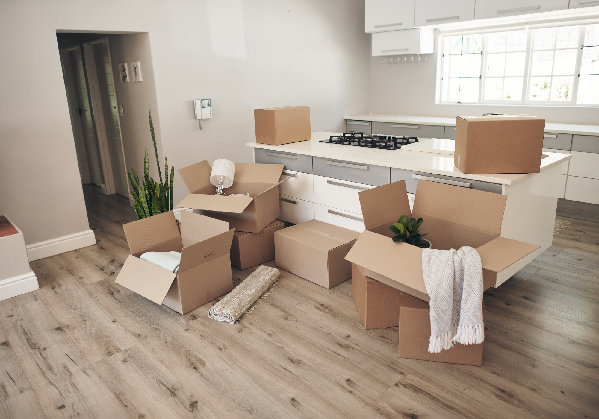 A-L-MOVING-LLC-18